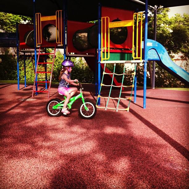 998324_10151651857394640_444000013_n