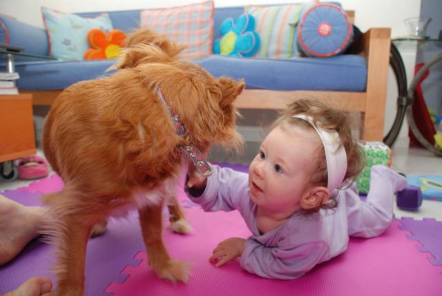 דר בודקת אם האוזניים של לוקה מחוברות. ברקע צעצועי התפתחות מיותמים