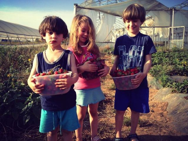 303094_10151601188757838_749305427_n