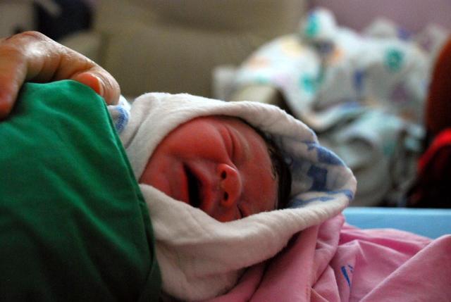 הלידה של דר