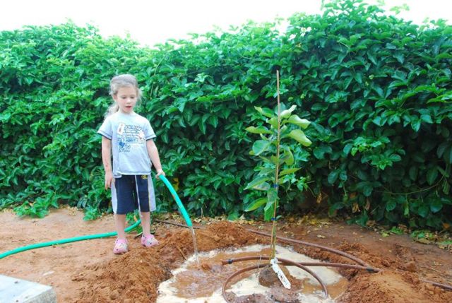 410996_10150975336767838_790443982_o